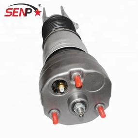 Front Left Air Suspension shocks struts Fit For Porsche Panamera 970 343 051 14