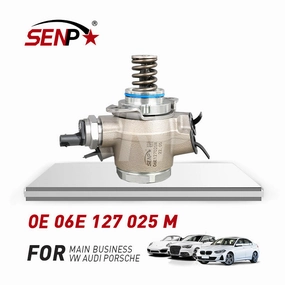 SENP 06E127025M Auto Engine Systems high pressure fuel Injection Pumps For Audi vw