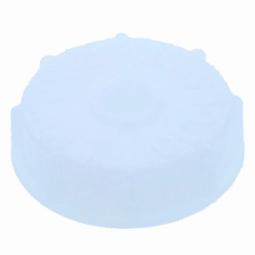 T107 Radiator Cap